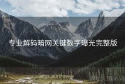 专业解码暗网关键数字曝光完整版