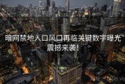 暗网禁地入口风口再临关键数字曝光震撼来袭！