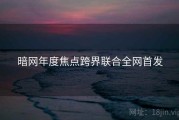暗网年度焦点跨界联合全网首发
