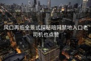风口再临全景式探秘暗网禁地入口老司机也点赞