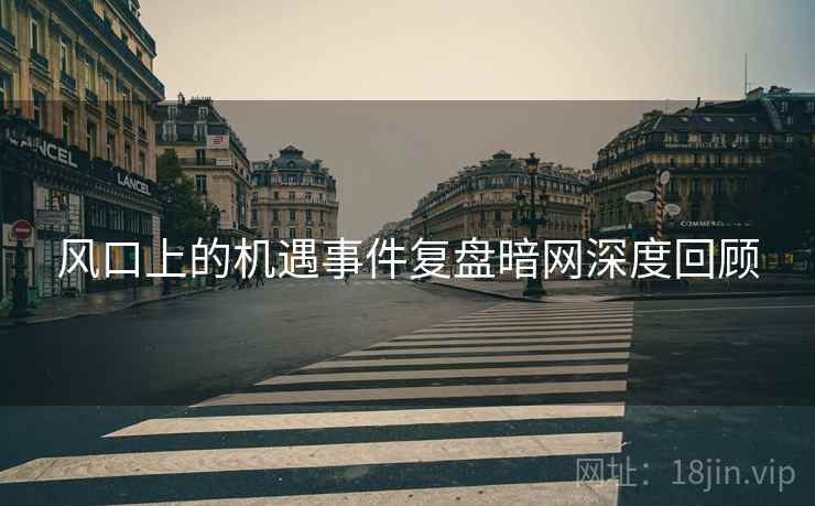 风口上的机遇事件复盘暗网深度回顾