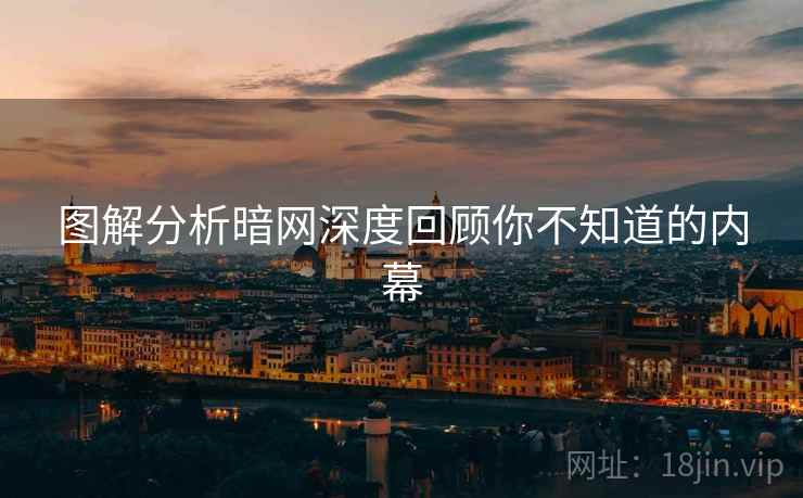 图解分析暗网深度回顾你不知道的内幕