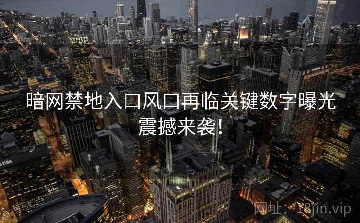 暗网禁地入口风口再临关键数字曝光震撼来袭！