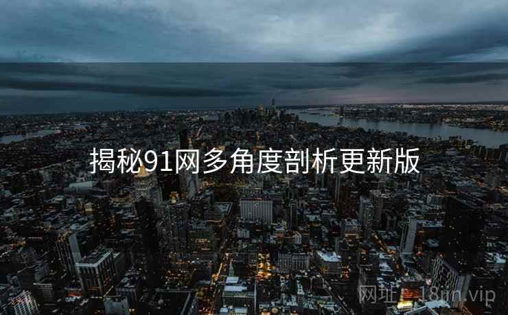 揭秘91网多角度剖析更新版