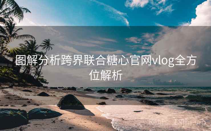 图解分析跨界联合糖心官网vlog全方位解析