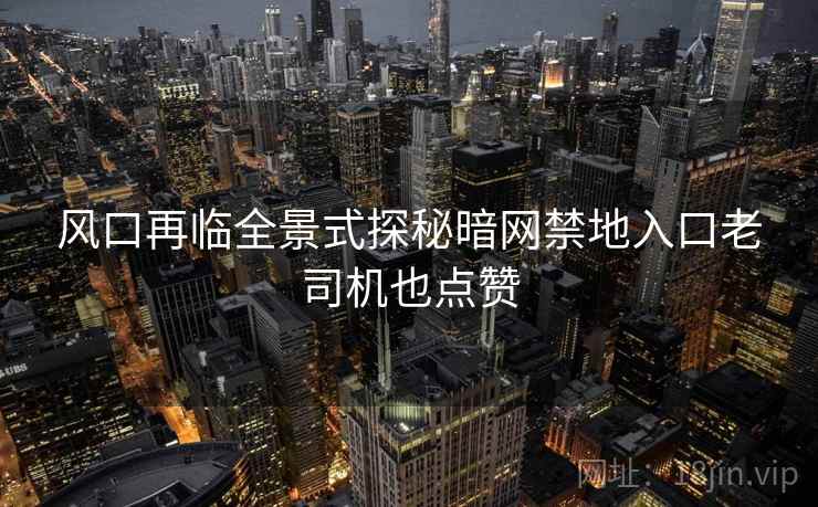 风口再临全景式探秘暗网禁地入口老司机也点赞