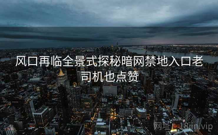 风口再临全景式探秘暗网禁地入口老司机也点赞