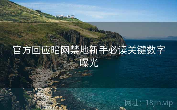 官方回应暗网禁地新手必读关键数字曝光