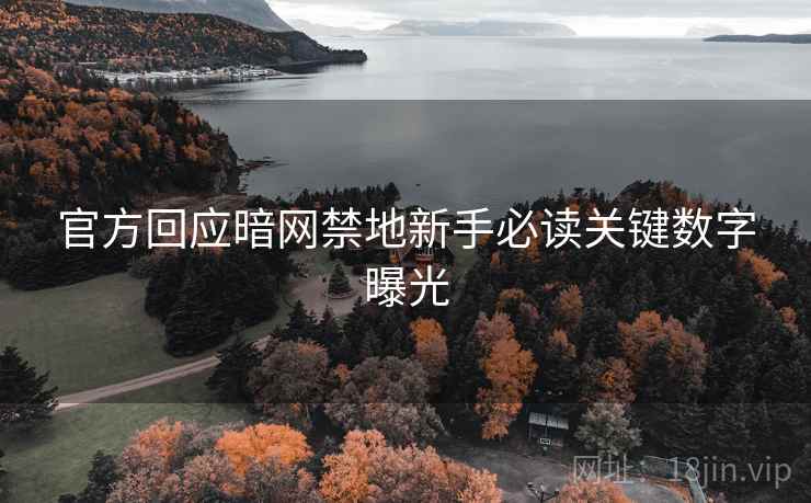 官方回应暗网禁地新手必读关键数字曝光