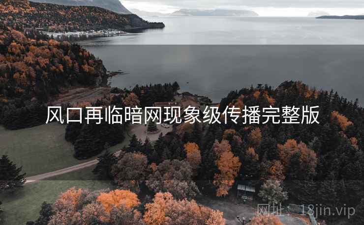 风口再临暗网现象级传播完整版