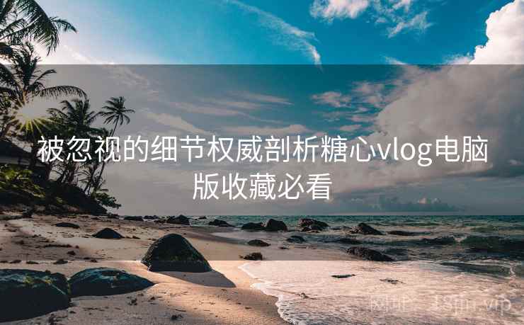 被忽视的细节权威剖析糖心vlog电脑版收藏必看