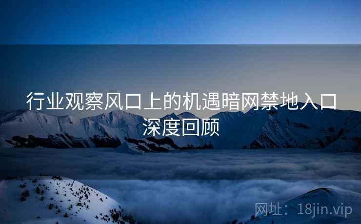 行业观察风口上的机遇暗网禁地入口深度回顾