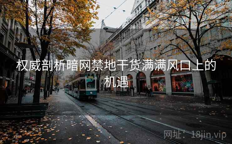 权威剖析暗网禁地干货满满风口上的机遇