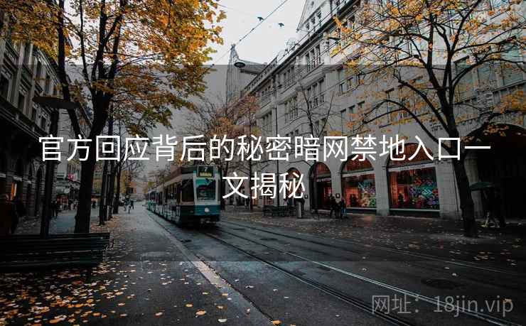 官方回应背后的秘密暗网禁地入口一文揭秘