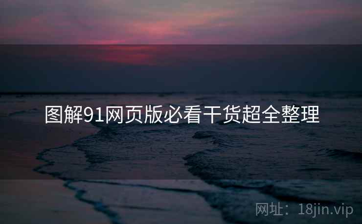 图解91网页版必看干货超全整理