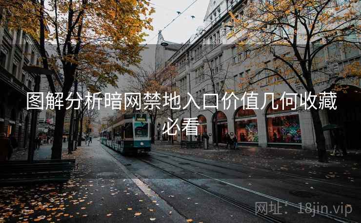 图解分析暗网禁地入口价值几何收藏必看