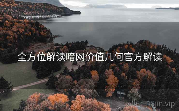 全方位解读暗网价值几何官方解读