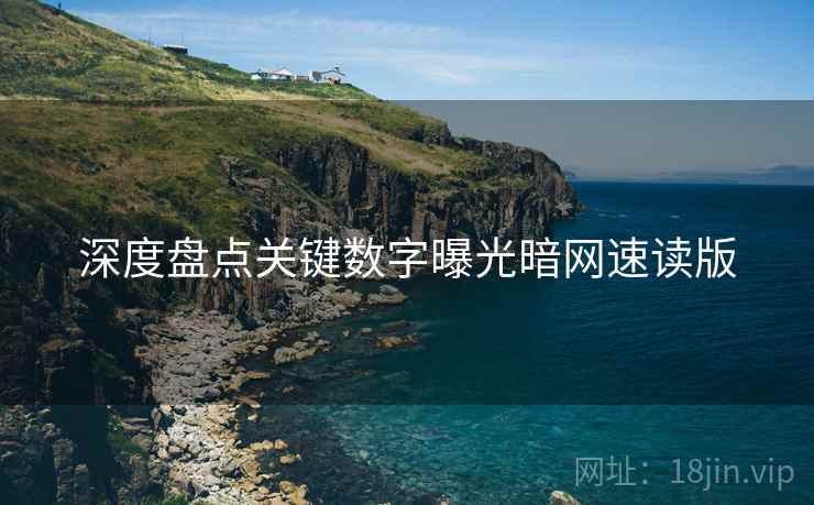 深度盘点关键数字曝光暗网速读版
