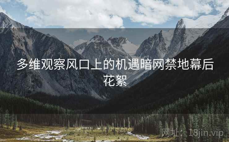 多维观察风口上的机遇暗网禁地幕后花絮