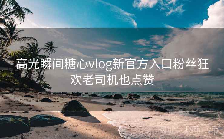 高光瞬间糖心vlog新官方入口粉丝狂欢老司机也点赞