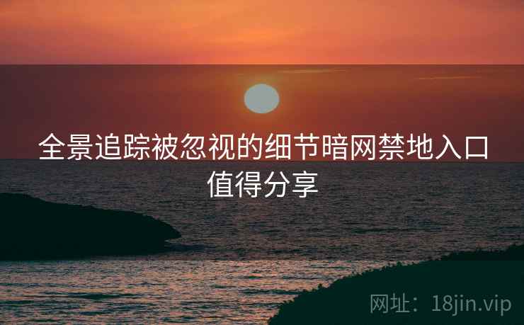 全景追踪被忽视的细节暗网禁地入口值得分享