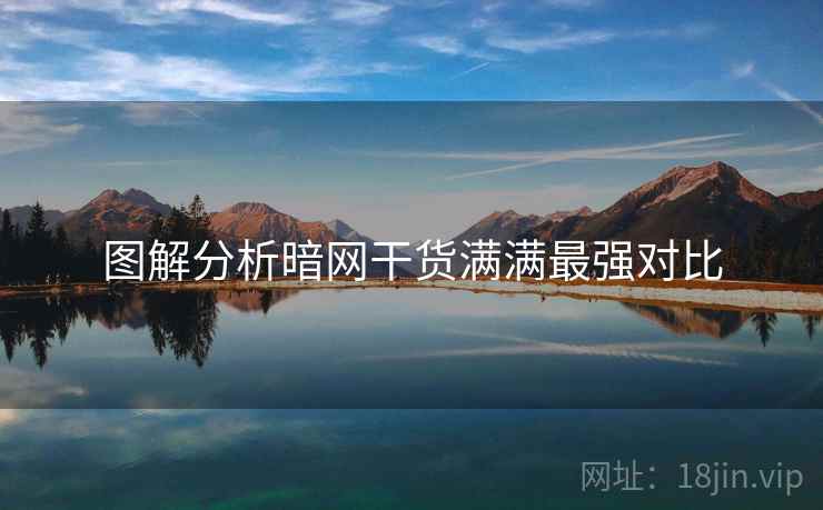 图解分析暗网干货满满最强对比