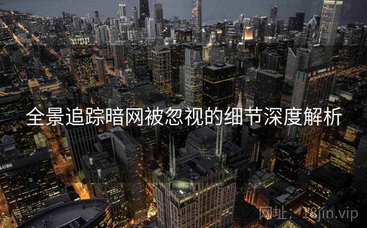 全景追踪暗网被忽视的细节深度解析