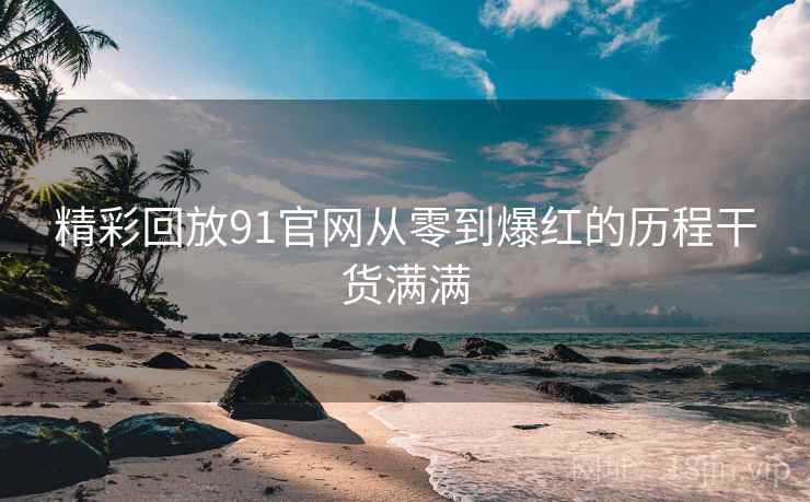 精彩回放91官网从零到爆红的历程干货满满