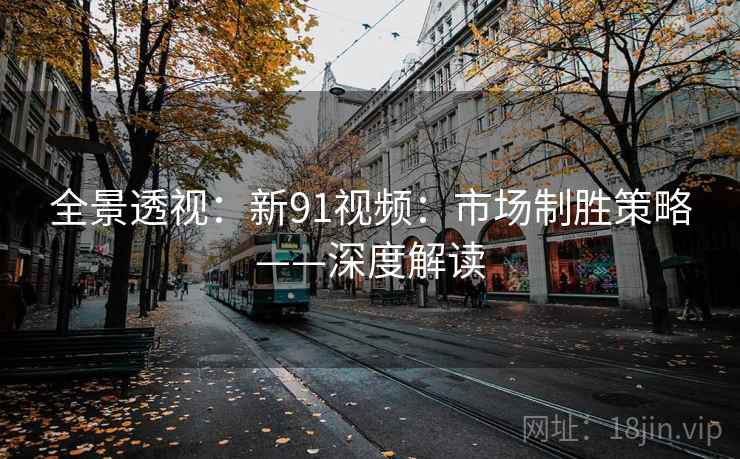 全景透视：新91视频：市场制胜策略——深度解读